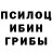 Галлюциногенные грибы Magic Shrooms Igor Laskorunskiy