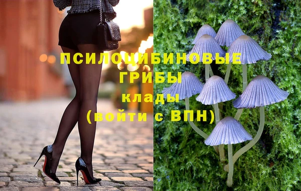 mdpv Лиски
