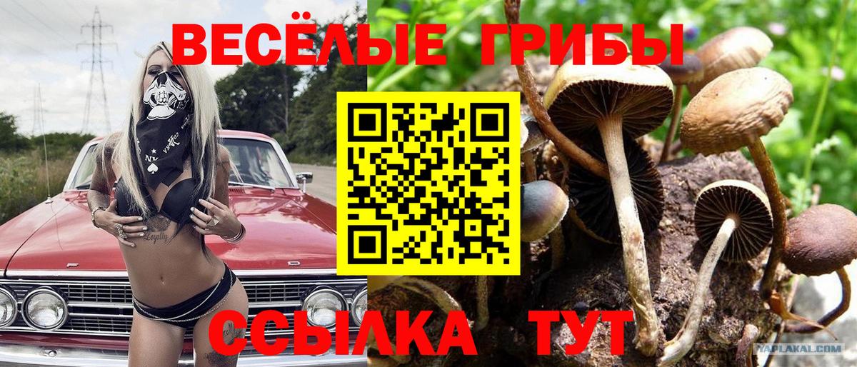 Галлюциногенные грибы мицелий  Усть-Лабинск 